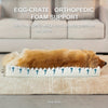 MIEUX PET Orthopedic Dog Bed for Extra Large Dogs, Egg Foam Dog Sofa Bed with Bolster, Waterproof Dog Bed with Removable Washable Cover for Medium Large Dogs, XL, 42x30x8 Inch
